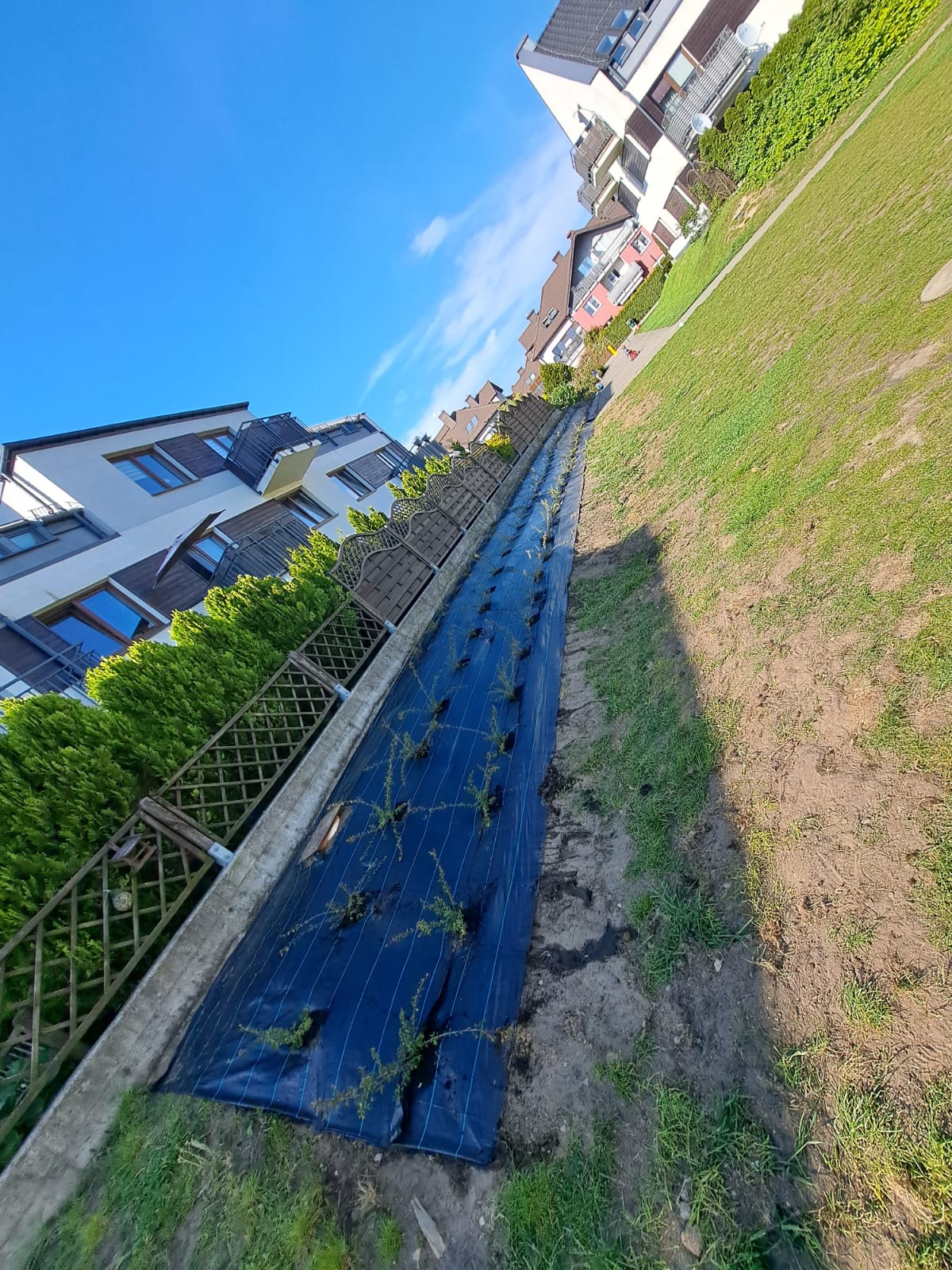 Pielęgnacja dużych terenów zielonych